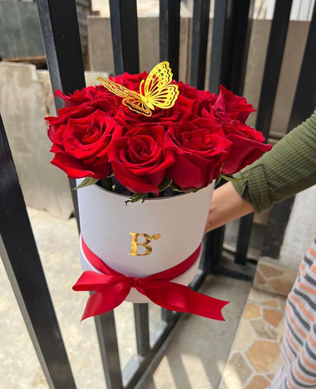 rosas en box