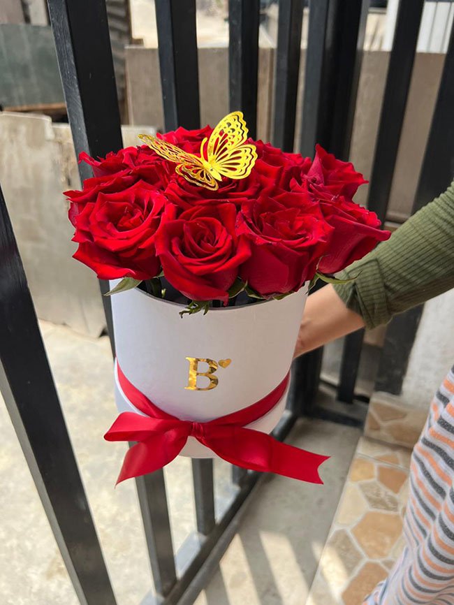 rosas en box