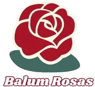 BalumFloreria