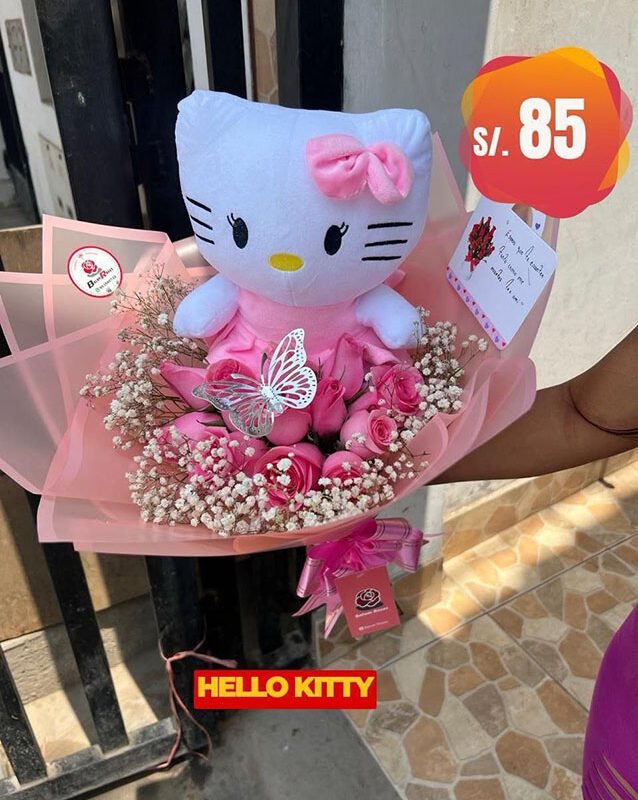 Ramo hello kitty